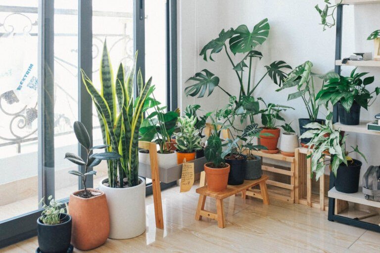 How to Reduce Your Carbon Footprint at Home: 12 High-Impact Moves